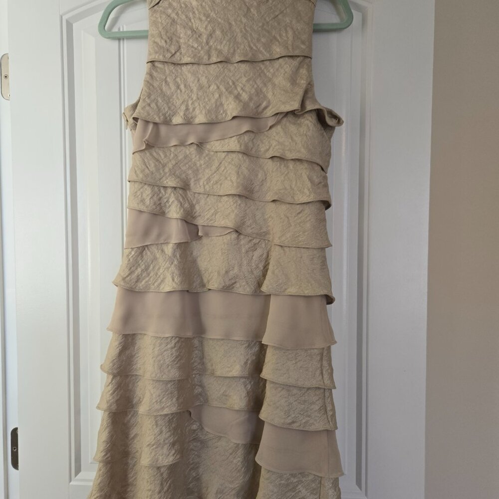 Dress Barn, Champagne color, beaded dress, size 10 - Picture 3 of 3
